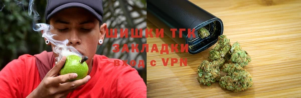 молекула духа Зеленодольск