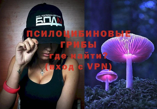 молекула духа Зеленодольск