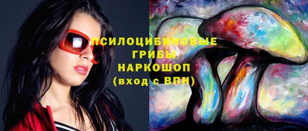 молекула духа Зеленодольск