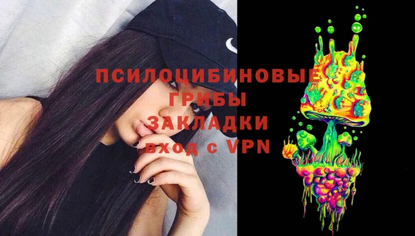 молекула духа Зеленодольск