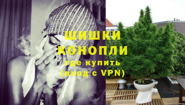 молекула духа Зеленодольск