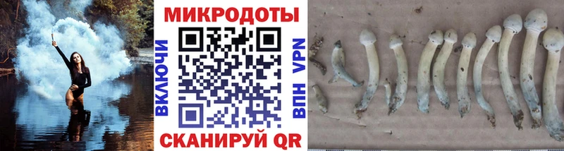 Галлюциногенные грибы Cubensis Купить где Светлый